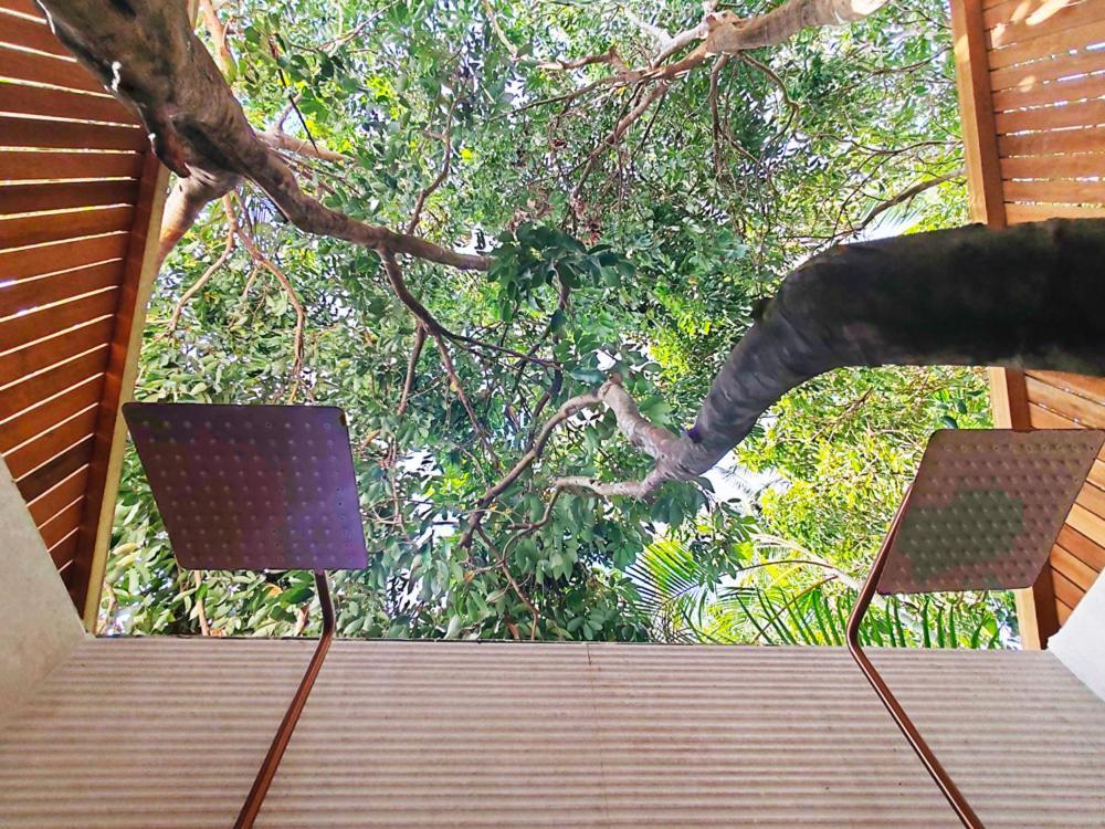 Coliver - Coliving A La Reunion Saint Pierre Extérieur photo
