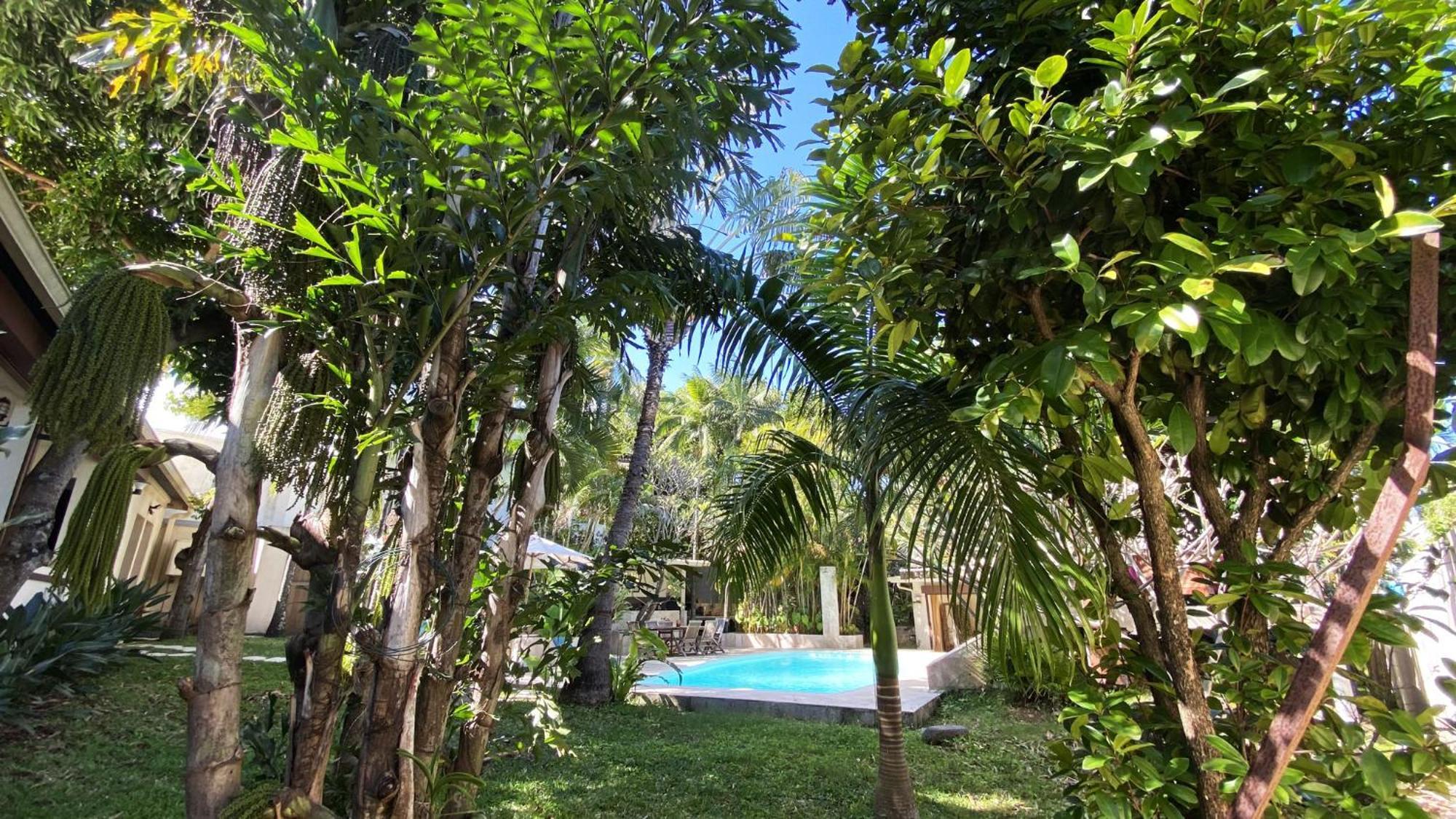 Coliver - Coliving A La Reunion Saint Pierre Extérieur photo