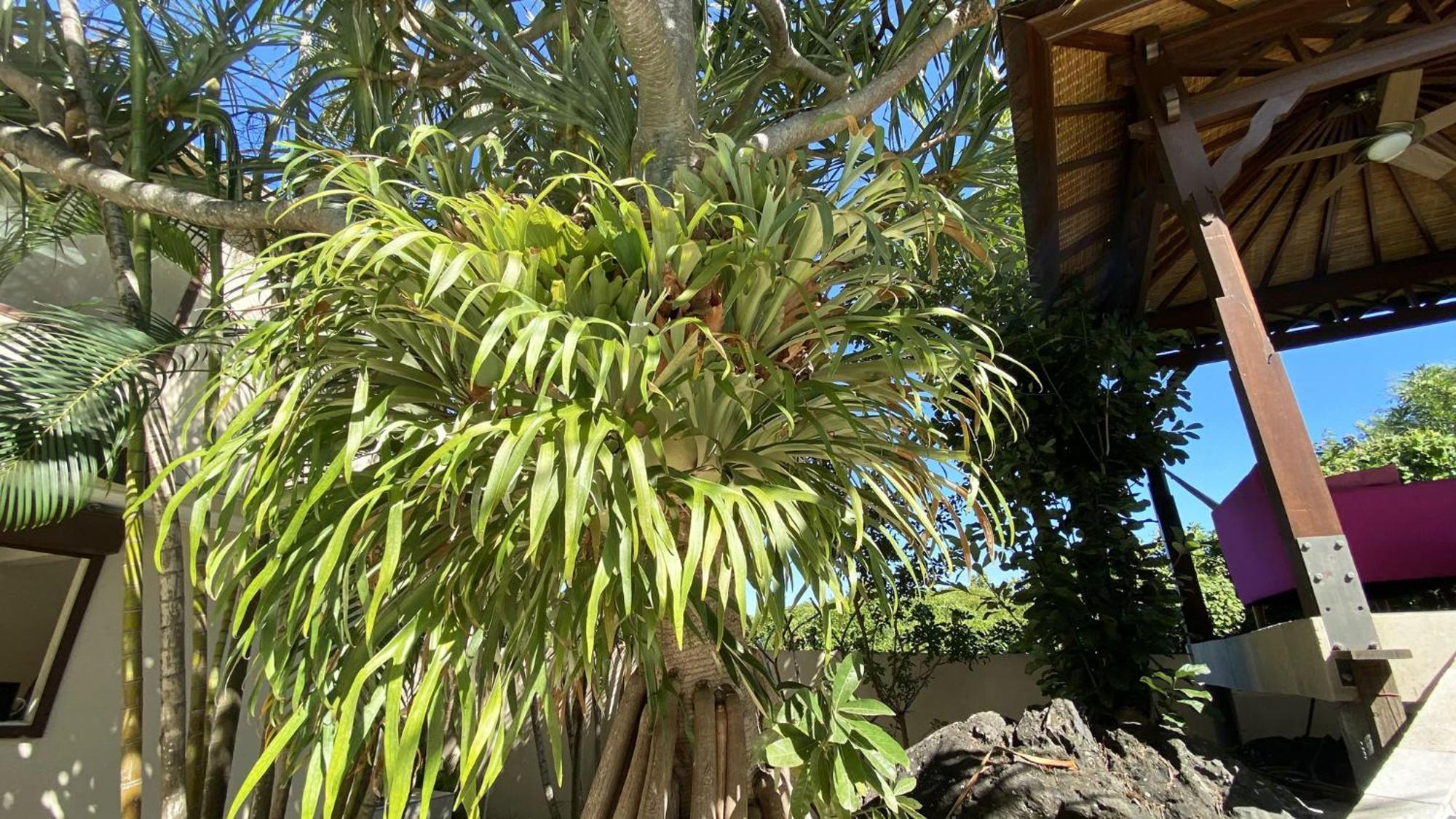 Coliver - Coliving A La Reunion Saint Pierre Extérieur photo