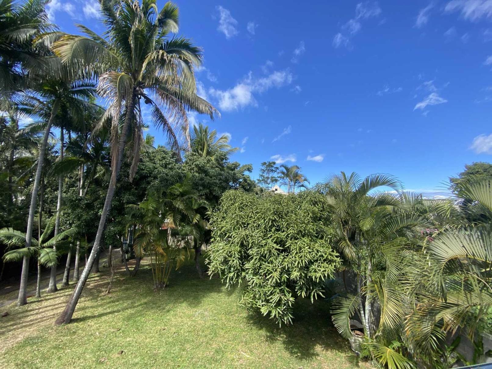 Coliver - Coliving A La Reunion Saint Pierre Extérieur photo
