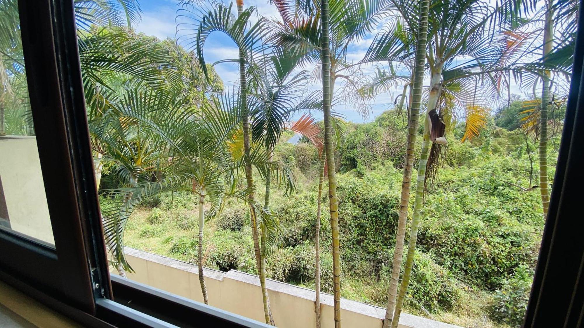 Coliver - Coliving A La Reunion Saint Pierre Extérieur photo