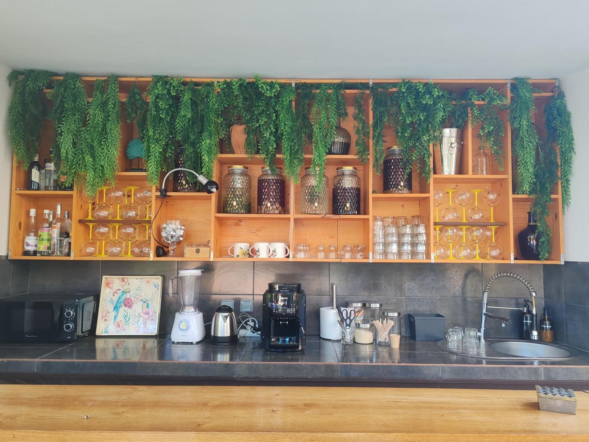 Coliver - Coliving A La Reunion Saint Pierre Extérieur photo